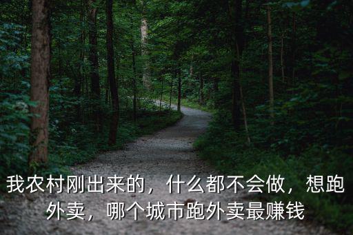 我農(nóng)村剛出來(lái)的，什么都不會(huì)做，想跑外賣，哪個(gè)城市跑外賣最賺錢
