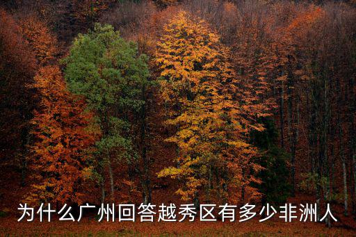 為什么廣州回答越秀區(qū)有多少非洲人