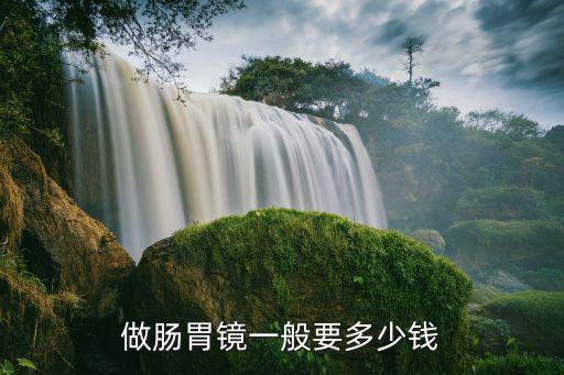做腸胃鏡一般要多少錢