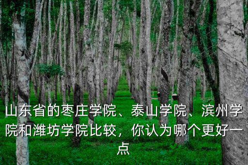 山東省的棗莊學院、泰山學院、濱州學院和濰坊學院比較，你認為哪個更好一點