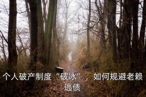 深圳破冰制度在哪里,《個(gè)人破產(chǎn)法》在深圳破冰