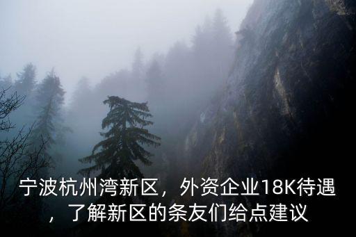 寧波杭州灣新區，外資企業18K待遇，了解新區的條友們給點建議