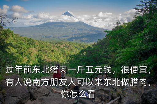 過年前東北豬肉一斤五元錢，很便宜，有人說南方朋友人可以來東北做臘肉，你怎么看