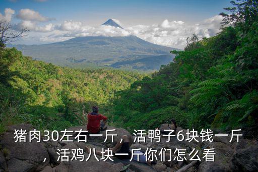 豬肉30左右一斤，活鴨子6塊錢一斤，活雞八塊一斤你們怎么看