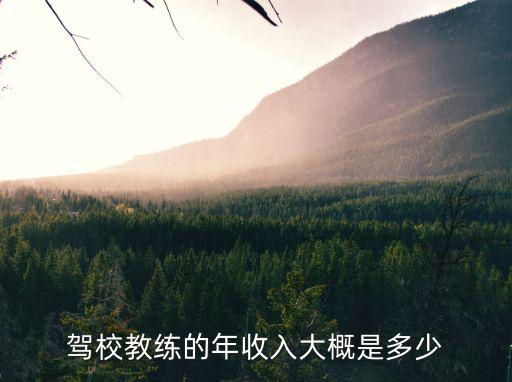 駕校教練的年收入大概是多少