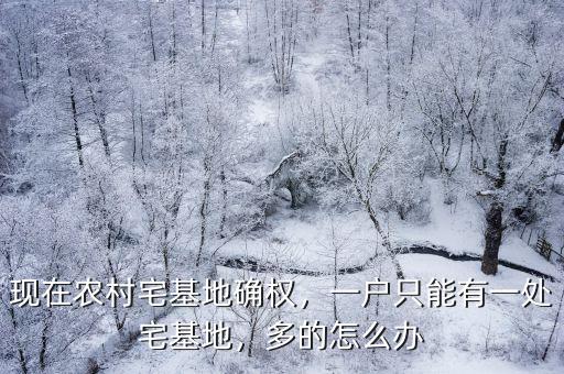 現在農村宅基地確權，一戶只能有一處宅基地，多的怎么辦