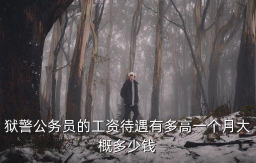 青島公務員的工資是多少錢一個月,一個月大概多少錢