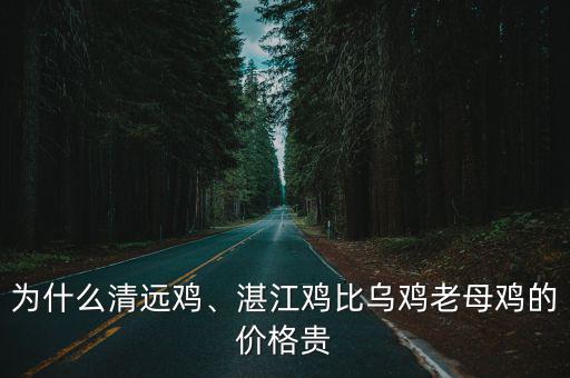 現在市場湛江雞多少一斤,現在土雞價格多少錢一斤