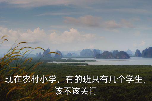 舟山小學一個班多少學生,現在農村小學