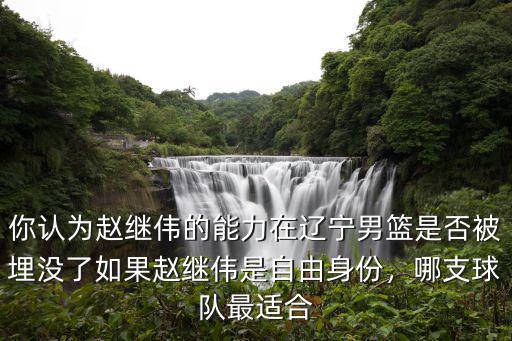 你認(rèn)為趙繼偉的能力在遼寧男籃是否被埋沒(méi)了如果趙繼偉是自由身份，哪支球隊(duì)最適合