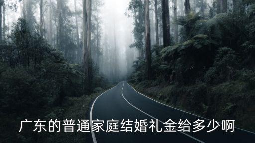 廣東的普通家庭結(jié)婚禮金給多少啊