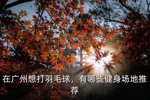 廣州運動場所在哪里,在廣州想打羽毛球