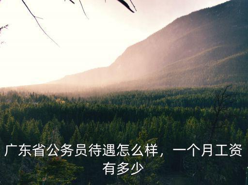 廣東省公務員待遇怎么樣，一個月工資有多少