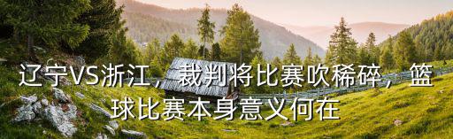 遼寧浙江比賽多少個犯規,遼寧再勝浙江廣廈