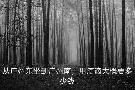 從廣州東坐到廣州南，用滴滴大概要多少錢