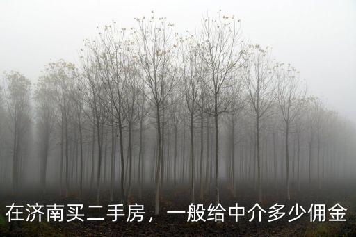 濟南新房中介能拿多少傭金,在濟南買二手房