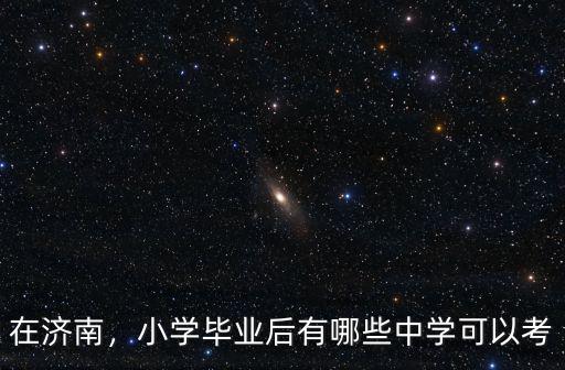 濟南匯安小學現在有多少學生,小學畢業后有哪些中學可以考