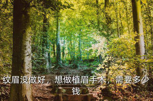 紋眉沒做好，想做植眉手術，需要多少錢