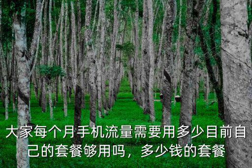 大家每個月手機流量需要用多少目前自己的套餐夠用嗎，多少錢的套餐