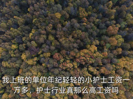 我上班的單位年紀輕輕的小護士工資一萬多，護士行業真那么高工資嗎
