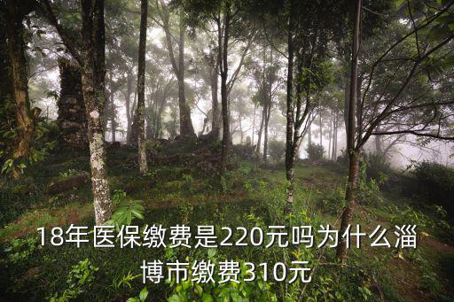 2018青島市醫保繳費多少,18年醫保繳費是220元嗎