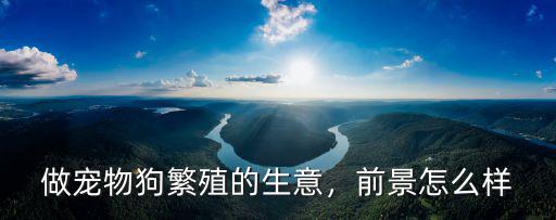 做寵物狗繁殖的生意，前景怎么樣