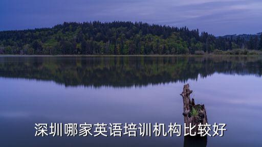 深圳知名培訓(xùn)機(jī)構(gòu)怎么樣,深圳哪家英語(yǔ)培訓(xùn)機(jī)構(gòu)比較好