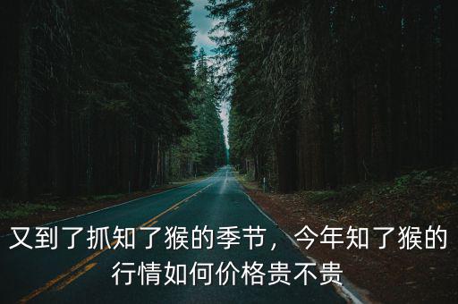 又到了抓知了猴的季節，今年知了猴的行情如何價格貴不貴