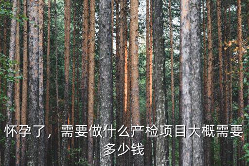 懷孕了，需要做什么產檢項目大概需要多少錢