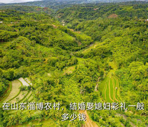 在山東淄博農(nóng)村，結(jié)婚娶媳婦彩禮一般多少錢