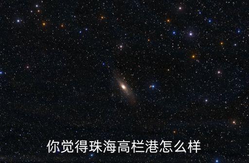 珠海港信股票怎么樣,你覺得珠海高欄港怎么樣