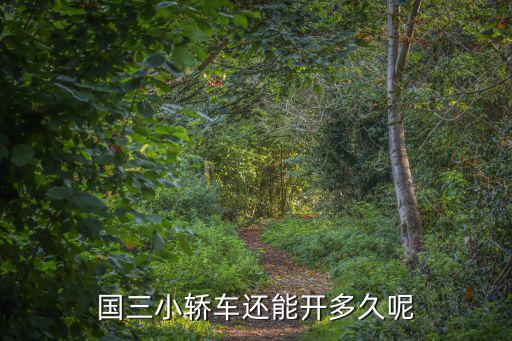 廣東國三的車還能開多少年,國三小轎車還能開多久呢