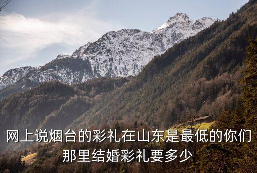 網(wǎng)上說煙臺(tái)的彩禮在山東是最低的你們那里結(jié)婚彩禮要多少