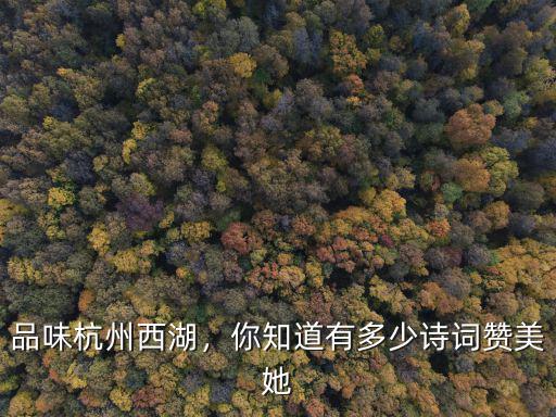 杭州西湖有多少亭臺,品味杭州西湖