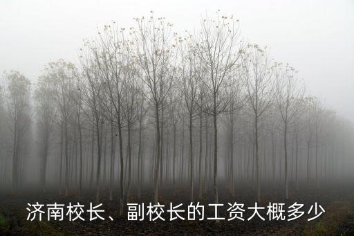 泰安校長工資多少,泰安在編老師的工資大概多少