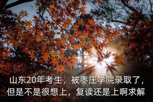 山東20年考生，被棗莊學院錄取了，但是不是很想上，復讀還是上啊求解