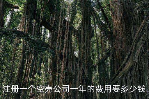 注冊一個空殼公司一年的費用要多少錢