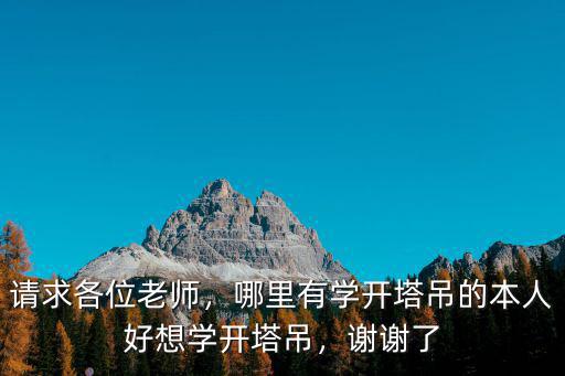 請求各位老師，哪里有學開塔吊的本人好想學開塔吊，謝謝了