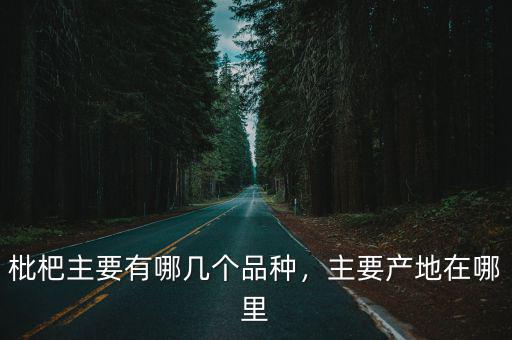 枇杷主要有哪幾個品種，主要產地在哪里