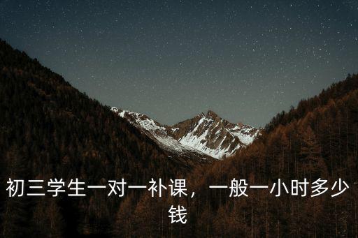 廣州物理一對一多少錢一個(gè)小時(shí),初三學(xué)生一對一補(bǔ)課