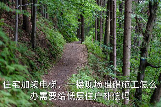 住宅加裝電梯，一樓現場阻礙施工怎么辦需要給低層住戶補償嗎