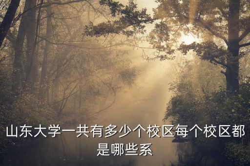 山東大學齊魯軟件園校區多少分,山東大學一共有多少個校區