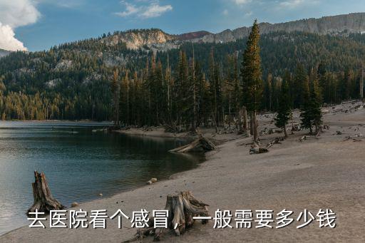去醫院看個感冒，一般需要多少錢