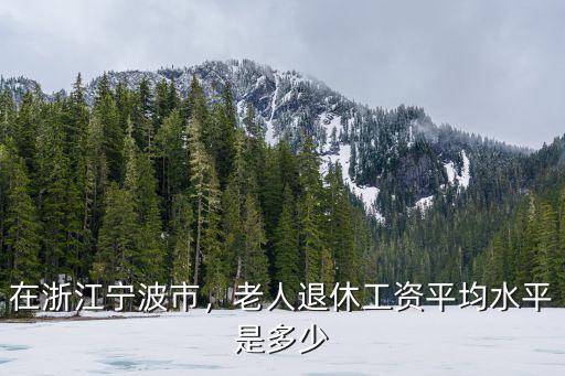 在浙江寧波市，老人退休工資平均水平是多少