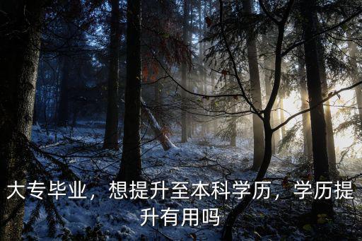 河源提升學(xué)歷專科怎么樣,想提升至本科學(xué)歷