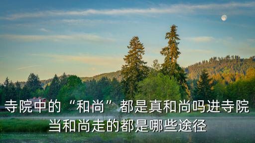 汕頭哪里有寺院要和尚,在中國哪里可以出家當和尚