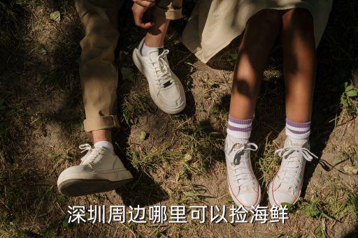 深圳周邊哪里可以撿海鮮
