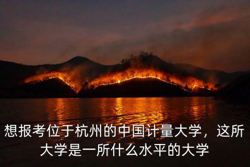 想報考位于杭州的中國計量大學，這所大學是一所什么水平的大學