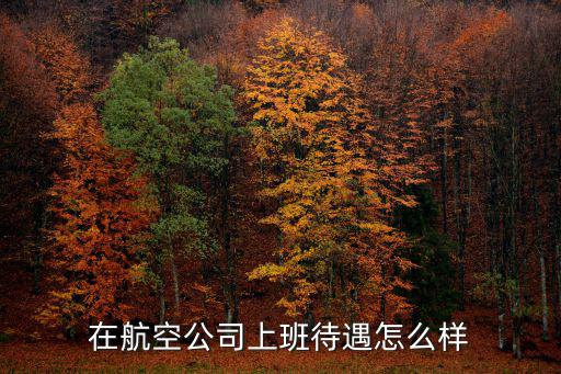 深圳航空公司怎么樣入職,在航空公司上班待遇怎么樣