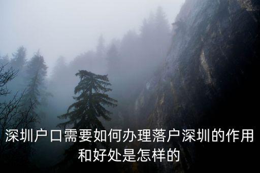 深圳研究生怎么申請(qǐng)戶口,深圳戶口需要如何辦理